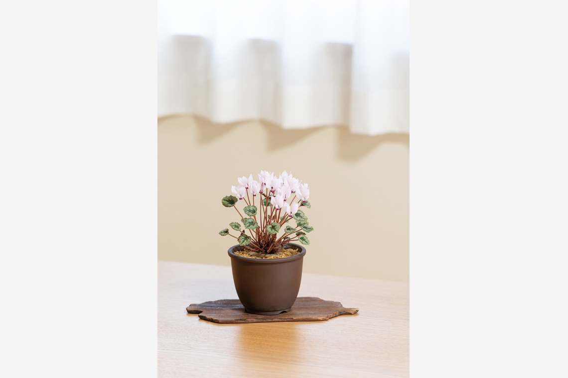 Herbest Productsが撮影した「静物」の写真