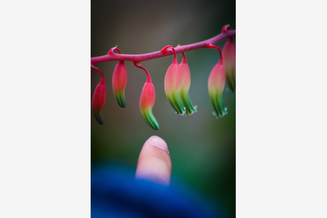 水嶋 将太が撮影した「思い出。」の写真