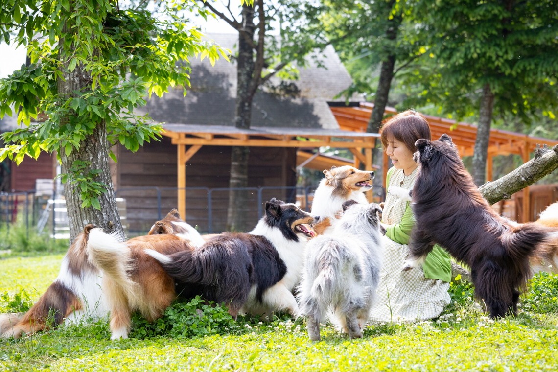 LUCE PHOTO WORKSが撮影した「ペット」の写真