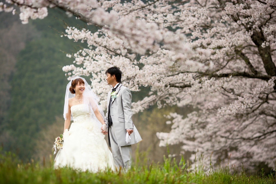 KIKIウェディングが撮影した写真のアルバム「桜ロケーション」
