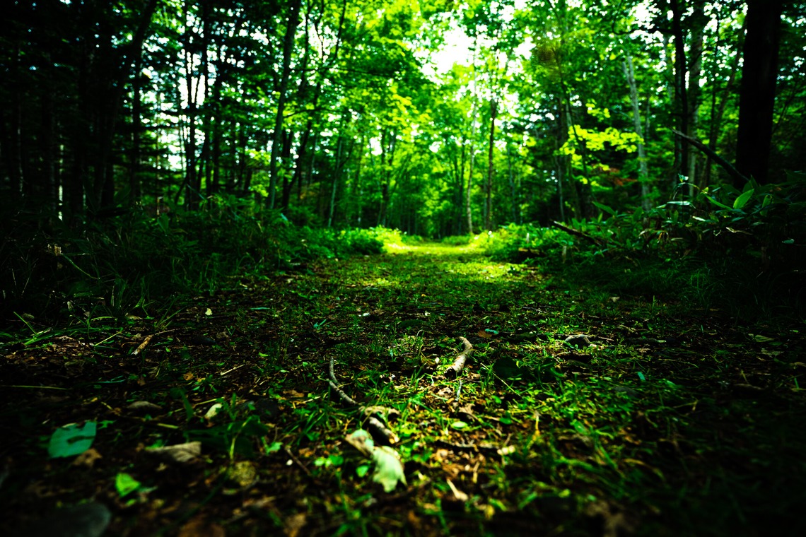 高木勇斗が撮影した写真のアルバム「風景　物撮り」