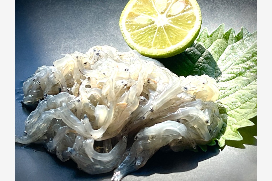 スタジオエゴイストが撮影した「料理撮影」の写真