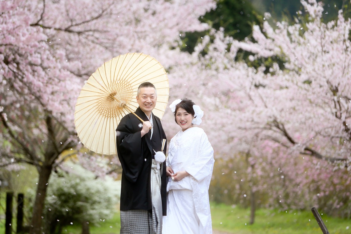 KIKIウェディングが撮影した「桜　桜　桜」の写真