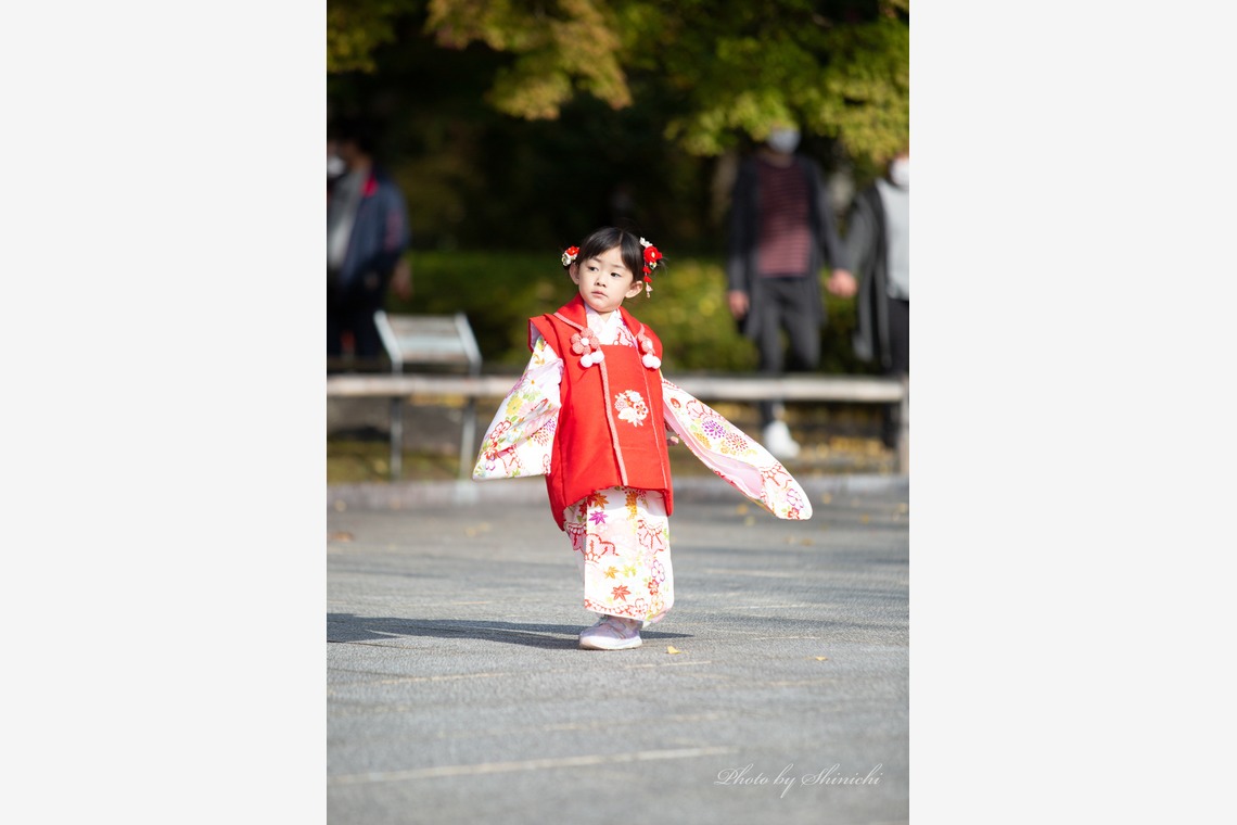浅野真一が撮影した「七五三出張撮影（３歳）」の写真