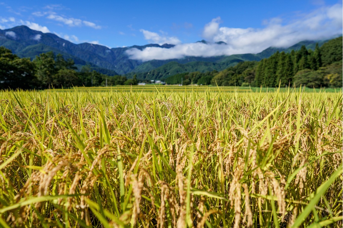 KurickMarry結婚相談所 丨 栗山　稔が撮影した写真のアルバム「風景」