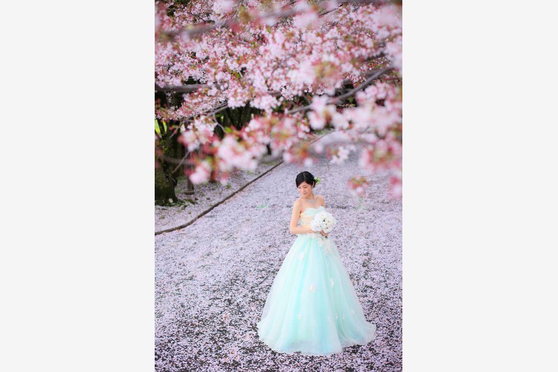 Album of the Wedding, Bridal taken by WEDDING AVENUE - 