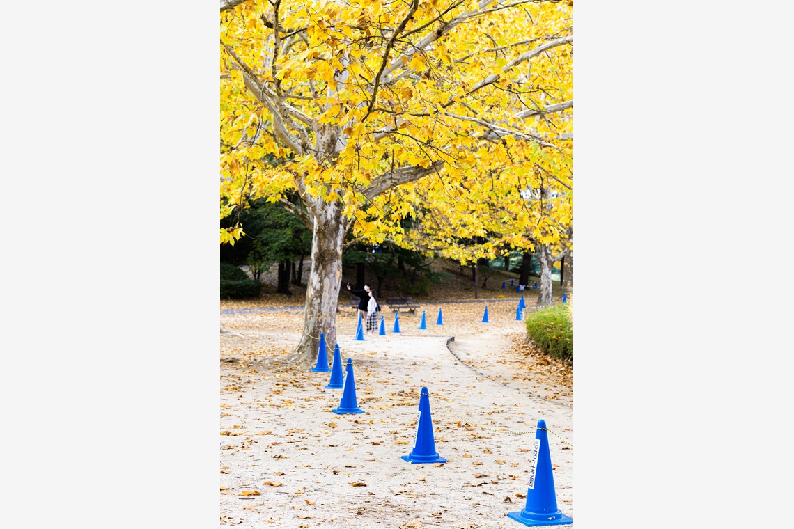 工藤が撮影した写真のアルバム「風景写真」