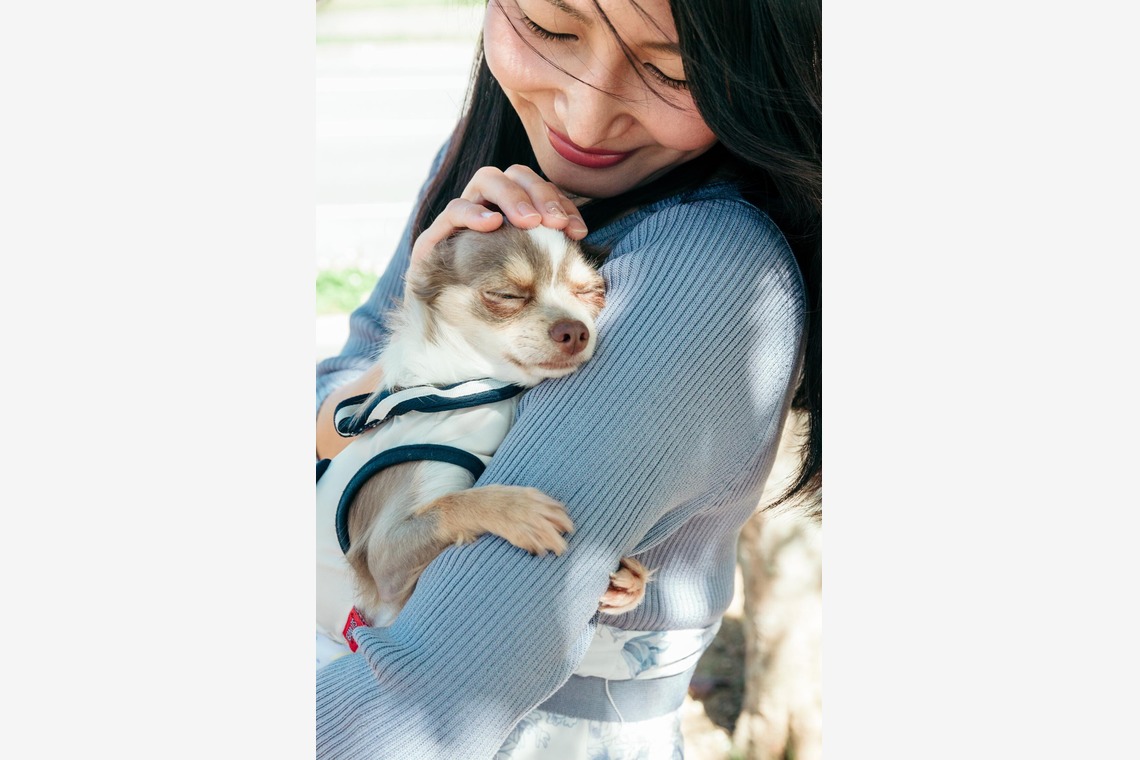 ポートレート沖縄が撮影した「ペット撮影」の写真