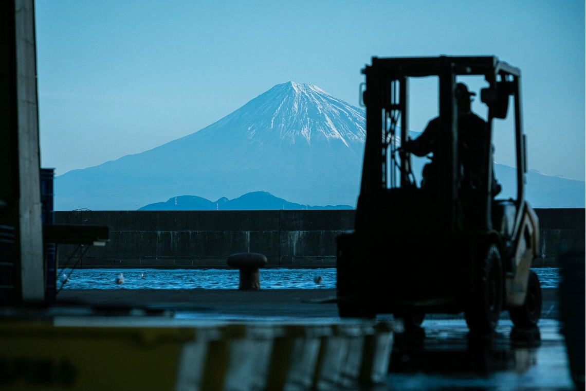 伊東武志が撮影した「商品撮影、動物、その他」の写真