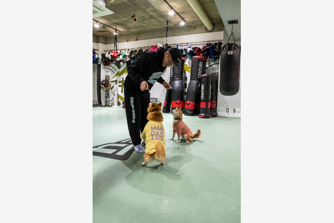 吉田佳央が撮影した「DOG SHOOTING」の写真