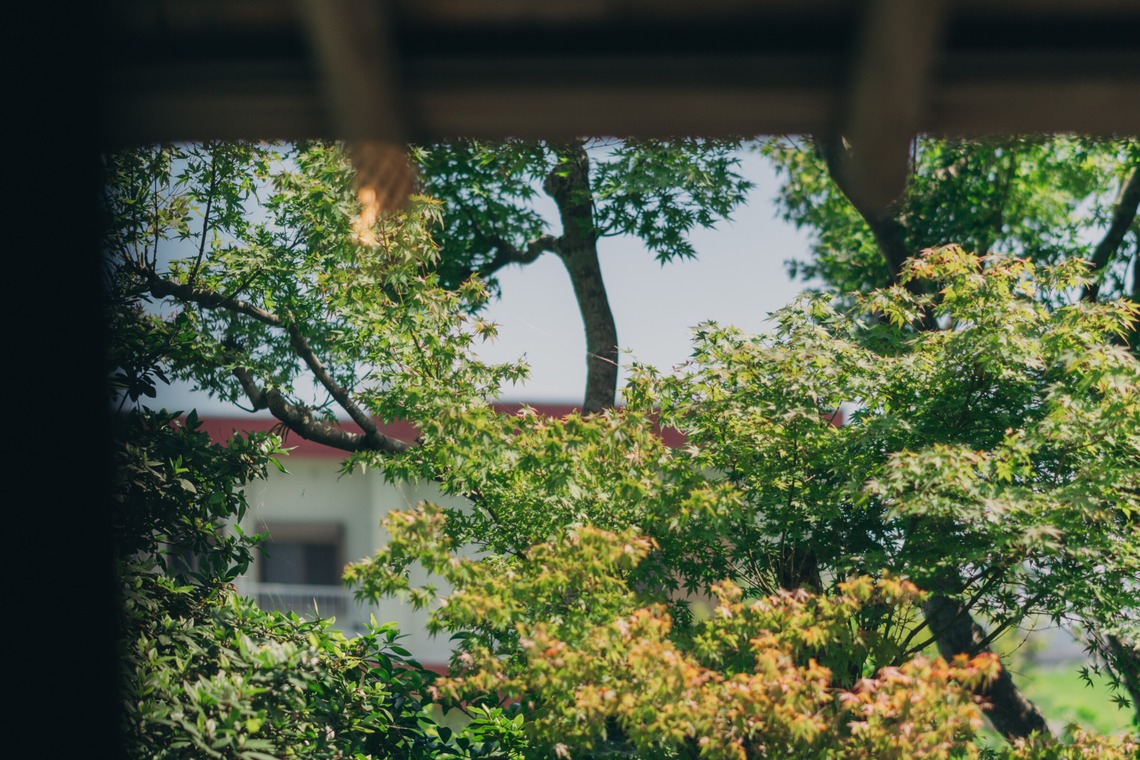大坪幹武が撮影した「婚礼」の写真