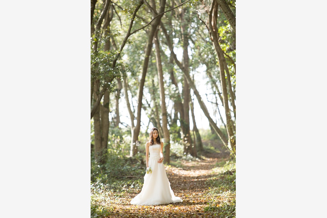 Photo of  taken by abc pictures