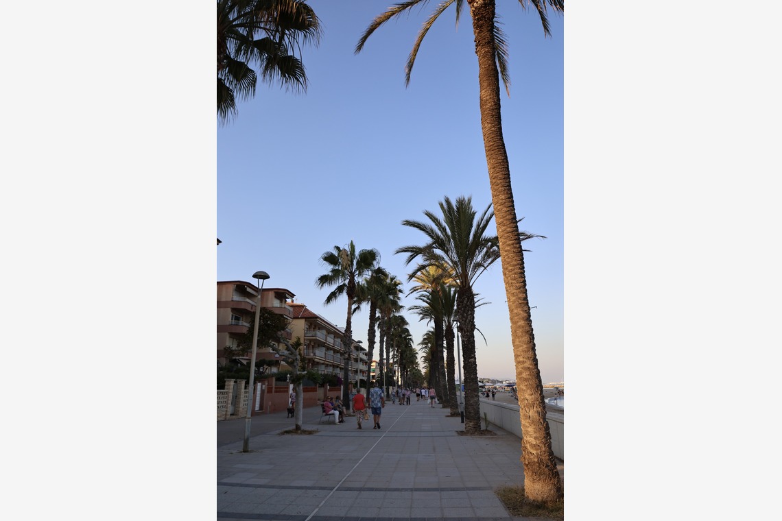 えむあんりみてっどが撮影した「soccer in Spain」の写真