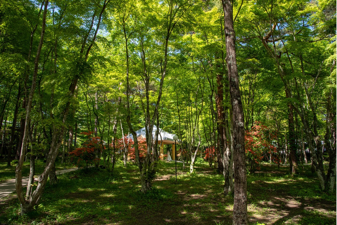 藤井が撮影した写真のアルバム「軽井沢」