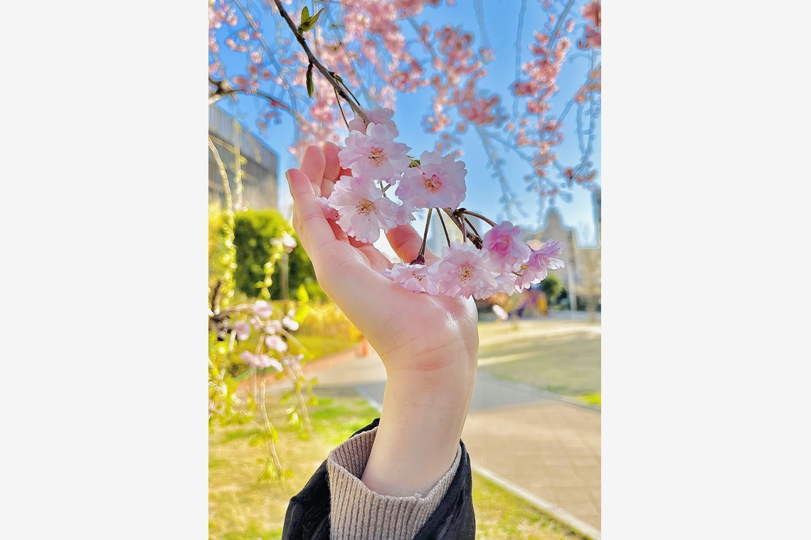 Takeuchi Shunsukeが撮影した「風景等」の写真