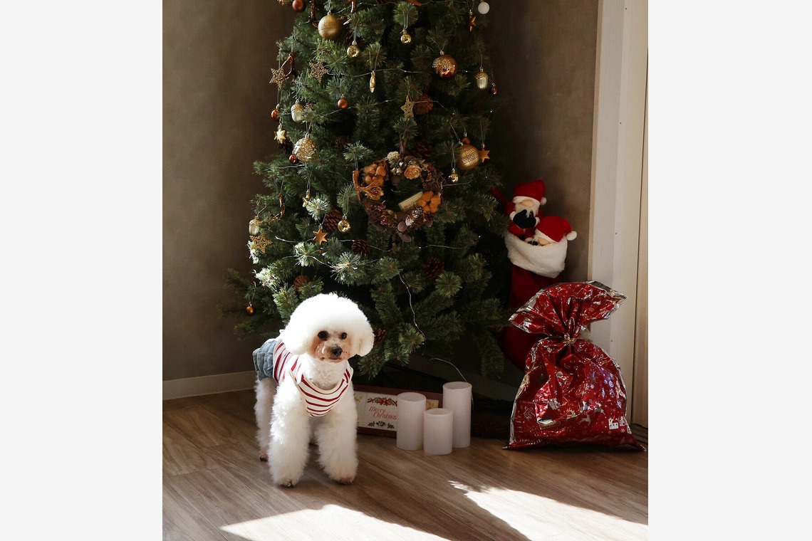 株式会社Photo Lucky