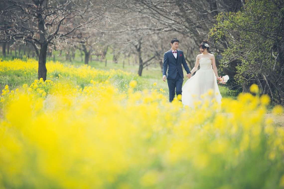 Album of the Wedding, Bridal taken by Takano Kazuki - Spring Japan
