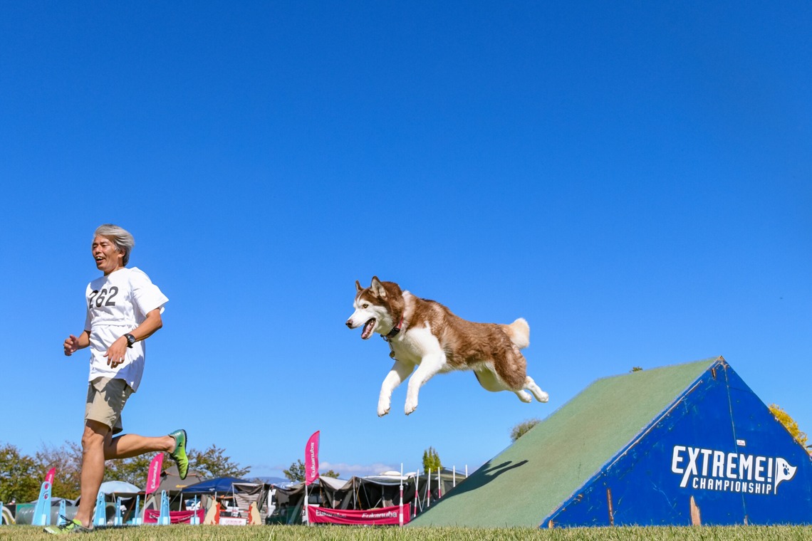 スタジオファンタスが撮影した「ドッグスポーツエクストリーム」の写真