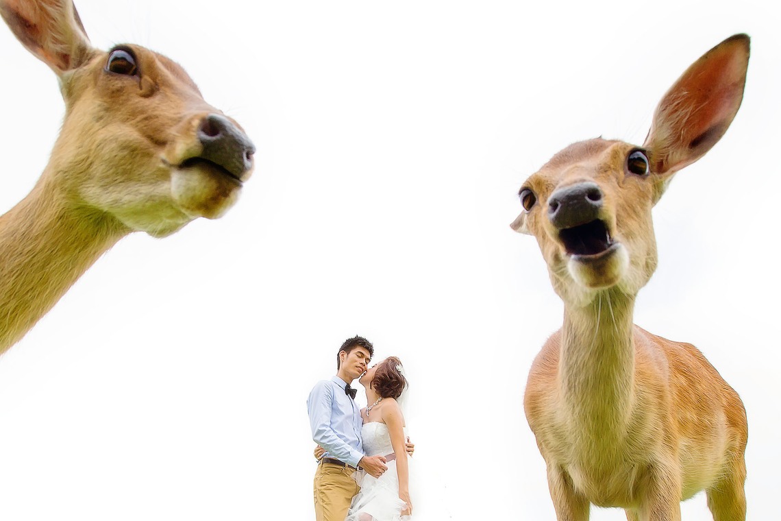 2 of usが撮影した「photo @ Kyoto」の写真