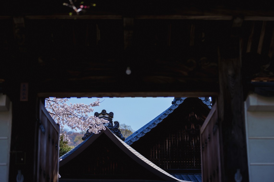 kiharu&photoが撮影した写真のアルバム「風景【ロケ撮影】」
