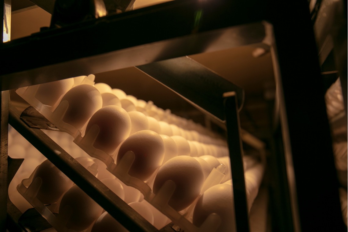 Creative Brand　Crows Nestが撮影した「ビジネス系撮影」の写真