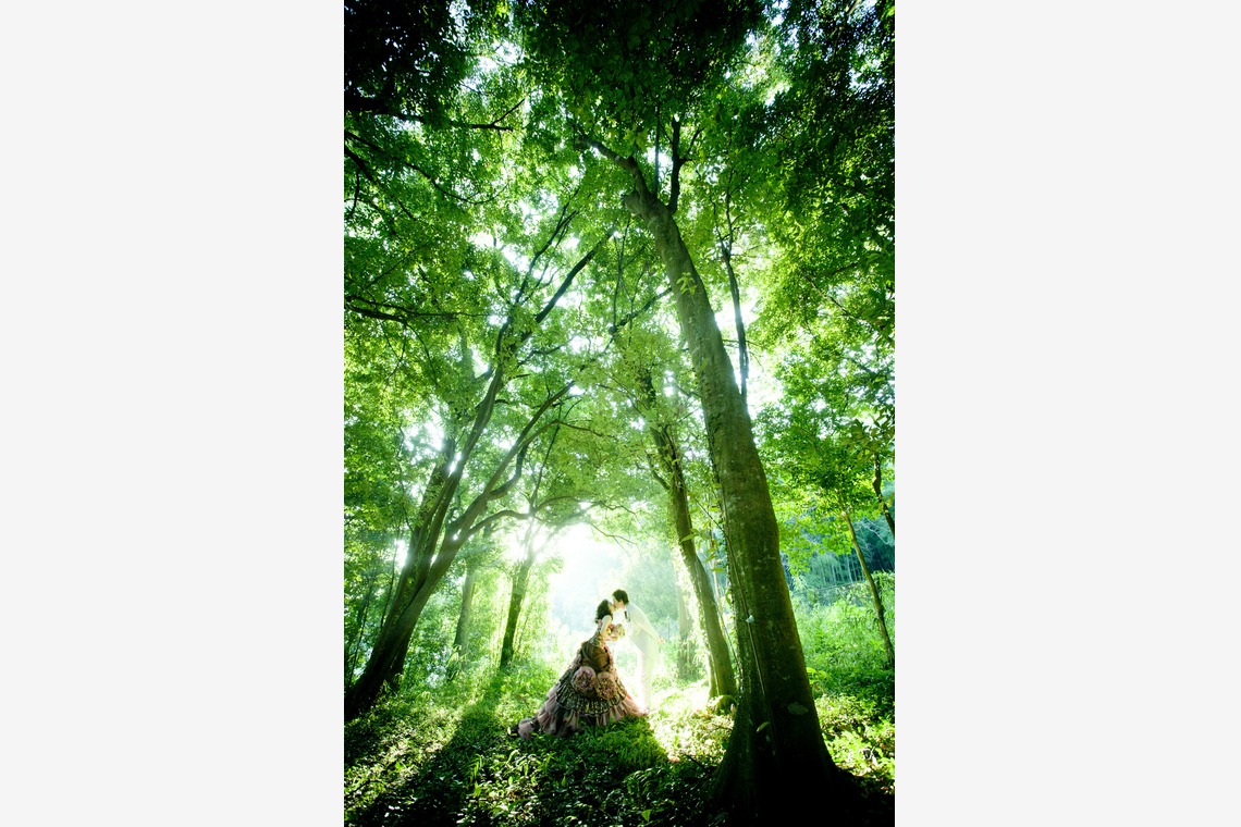 Photo of  taken by Luce photo studio