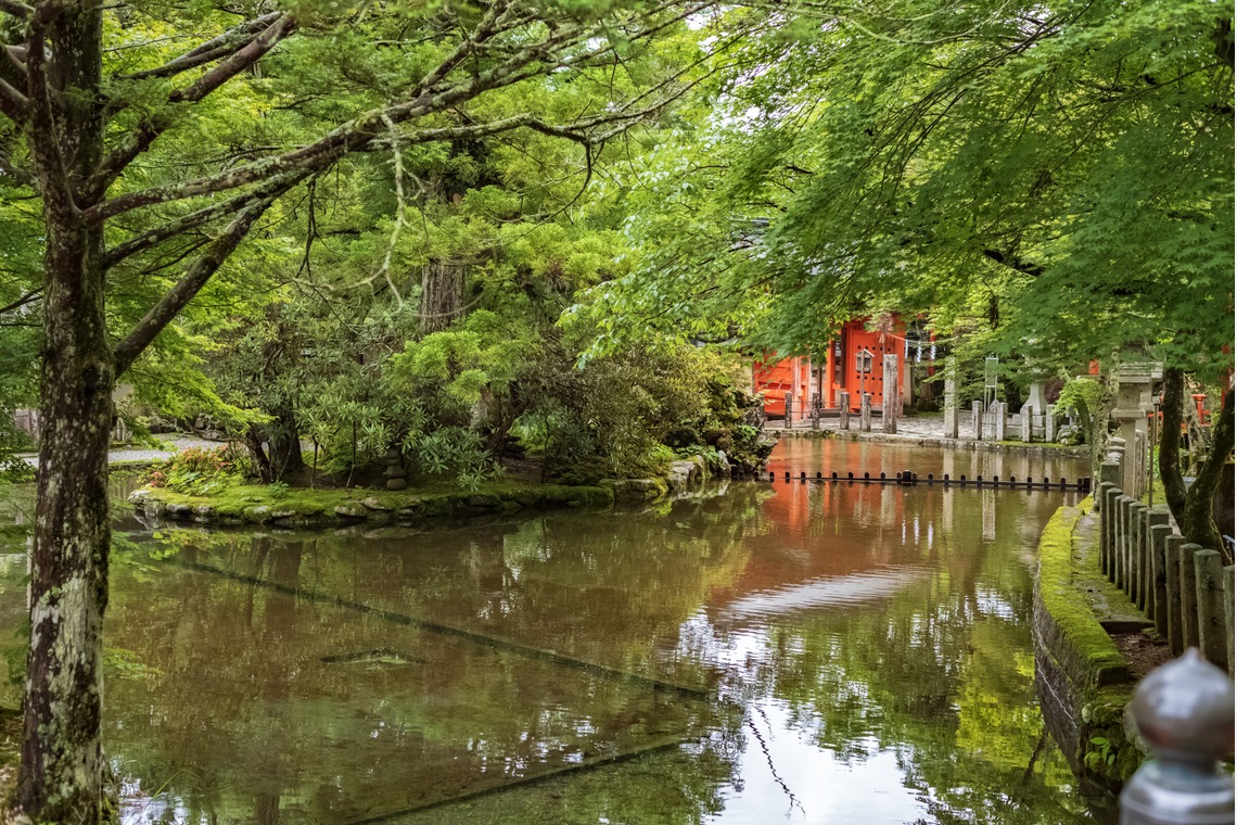 フォトスタジオ　ちっくたっくが撮影した「風景」の写真