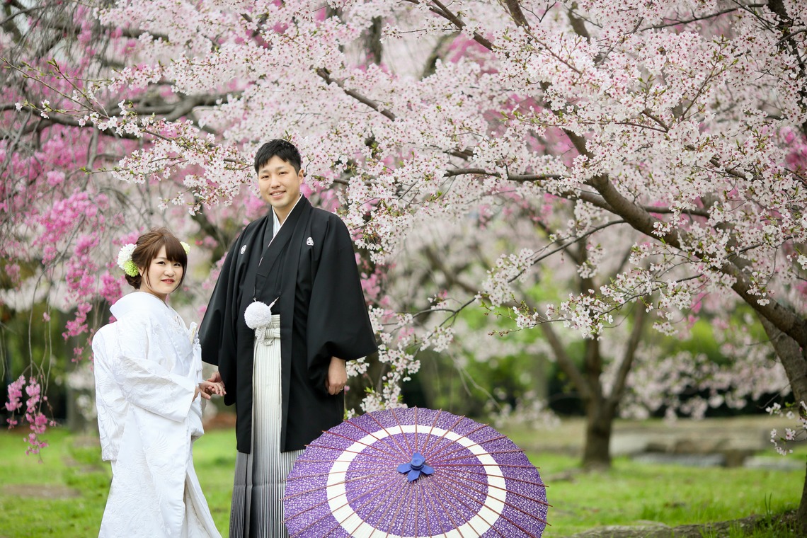 KIKIウェディングが撮影した「しだれ桜とソメイヨシノ」の写真