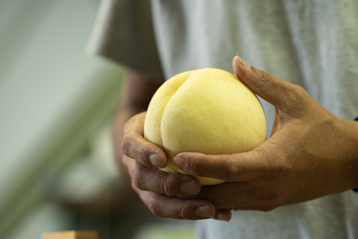 umimoyamamoworksが撮影した「農家さん取材写真」の写真