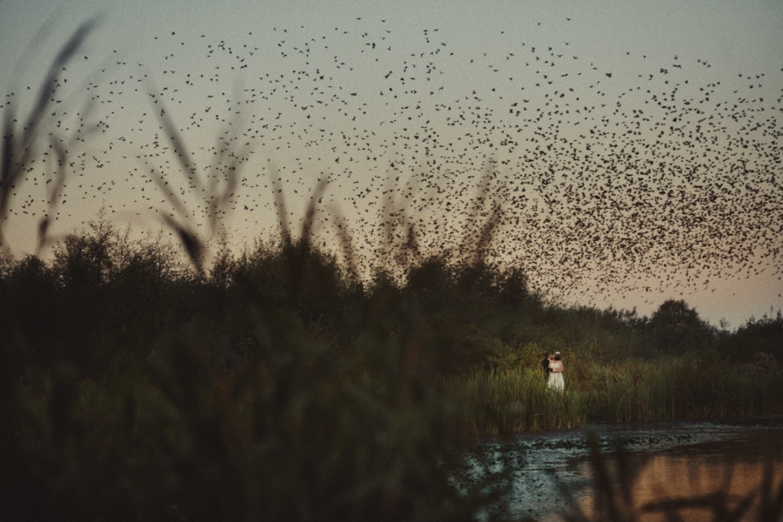 Subtle Studio       が撮影した「東京　京都　ニューヨーク　ロンドン　パリ」の写真