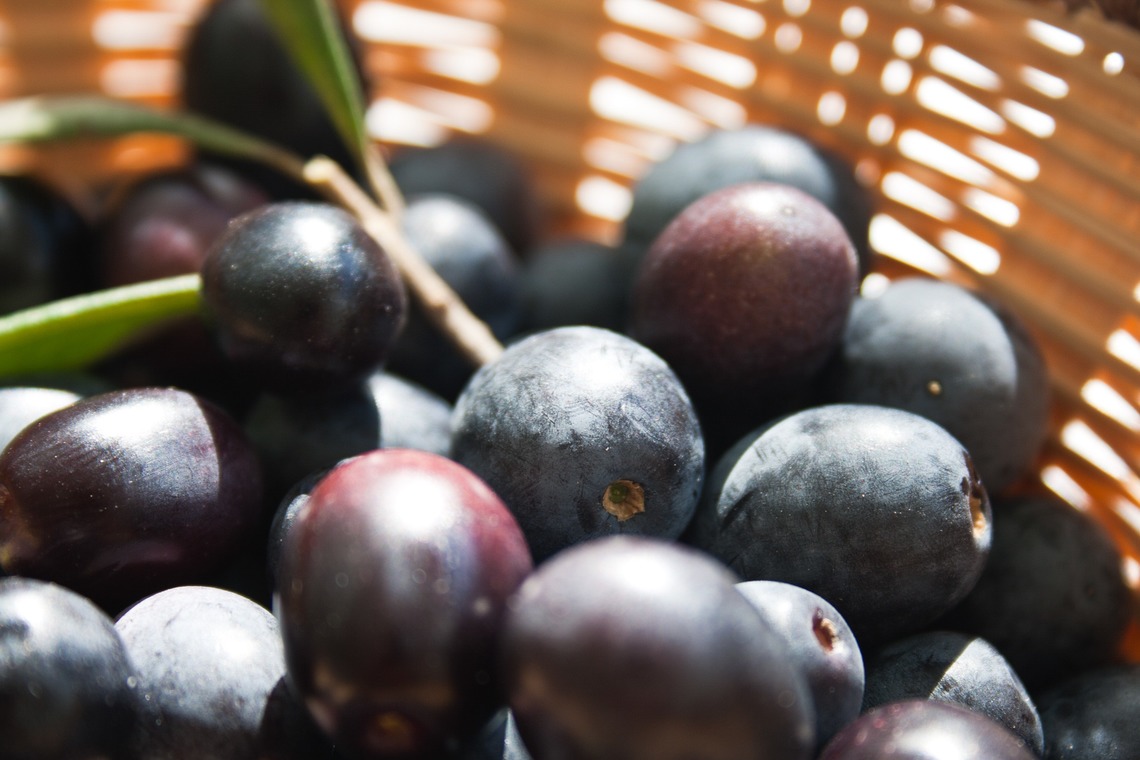 小浜守也が撮影した写真のアルバム「フード」