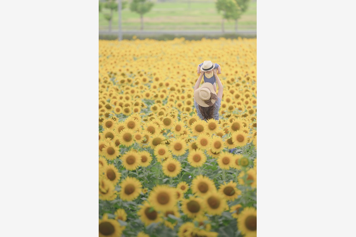 萬代　一樹が撮影した写真のアルバム「家族撮影」