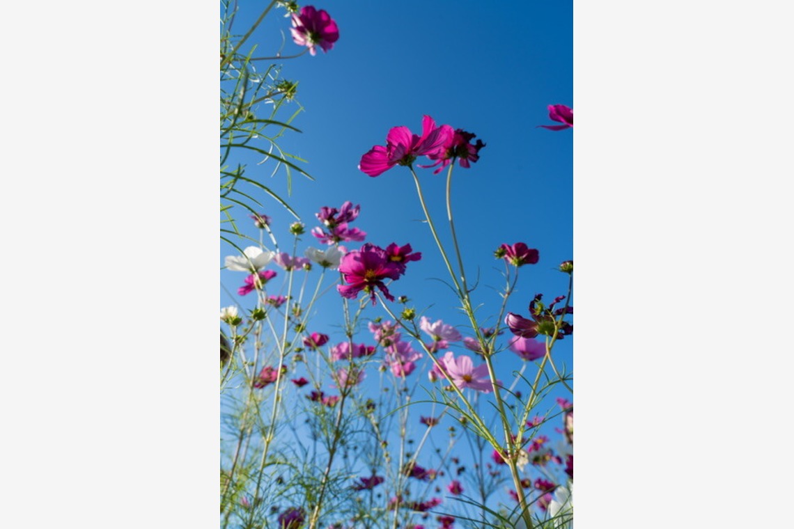 堀田佳資が撮影した「風景」の写真