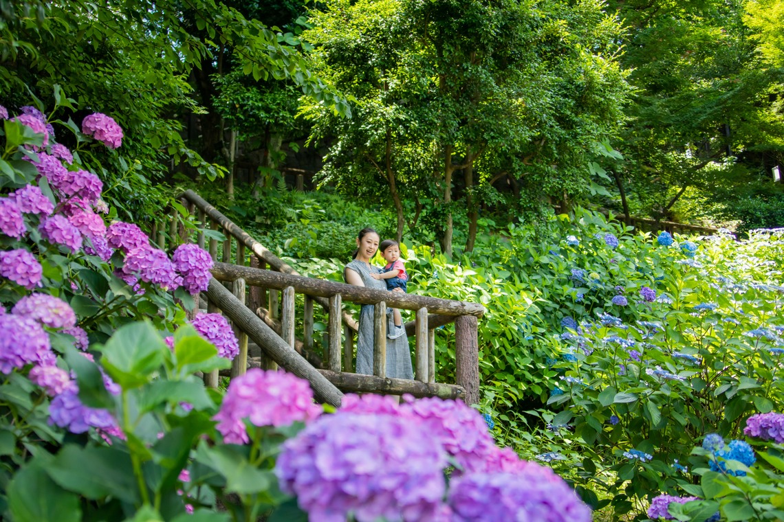 かわもとえつこが撮影した写真のアルバム「ファミリーフォト」