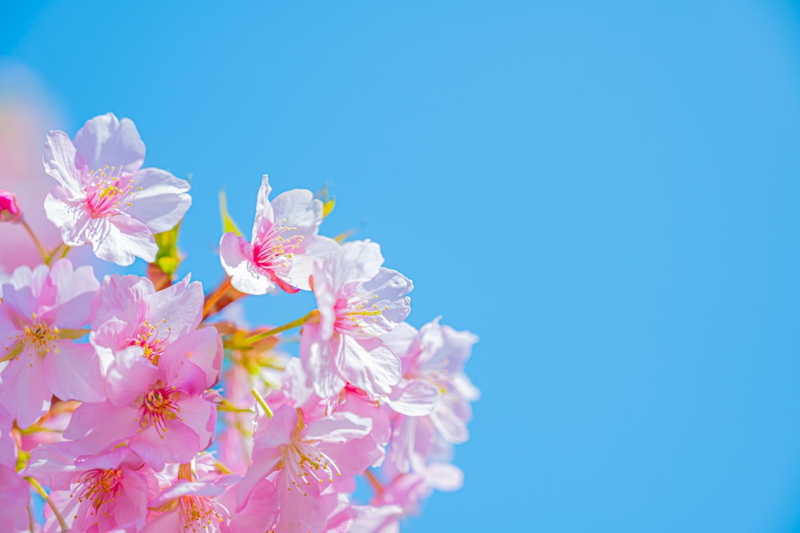 高木勇斗が撮影した写真のアルバム「風景　物撮り」