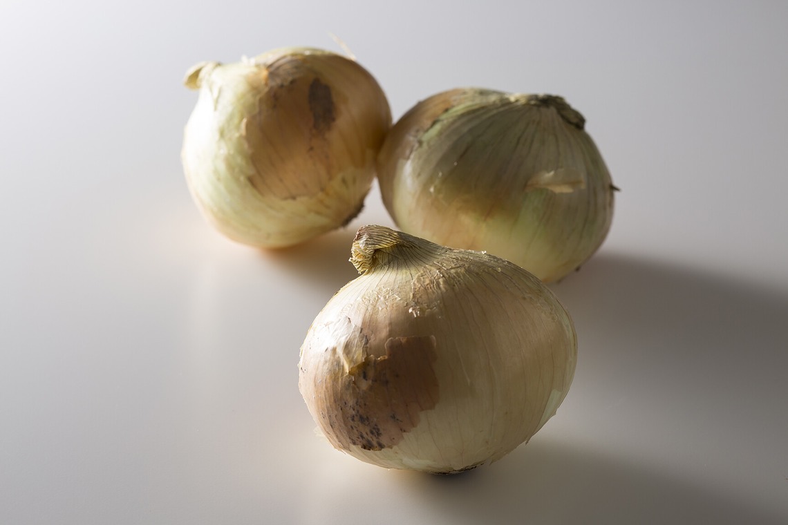 東谷　幸一が撮影した写真のアルバム「料理素材」