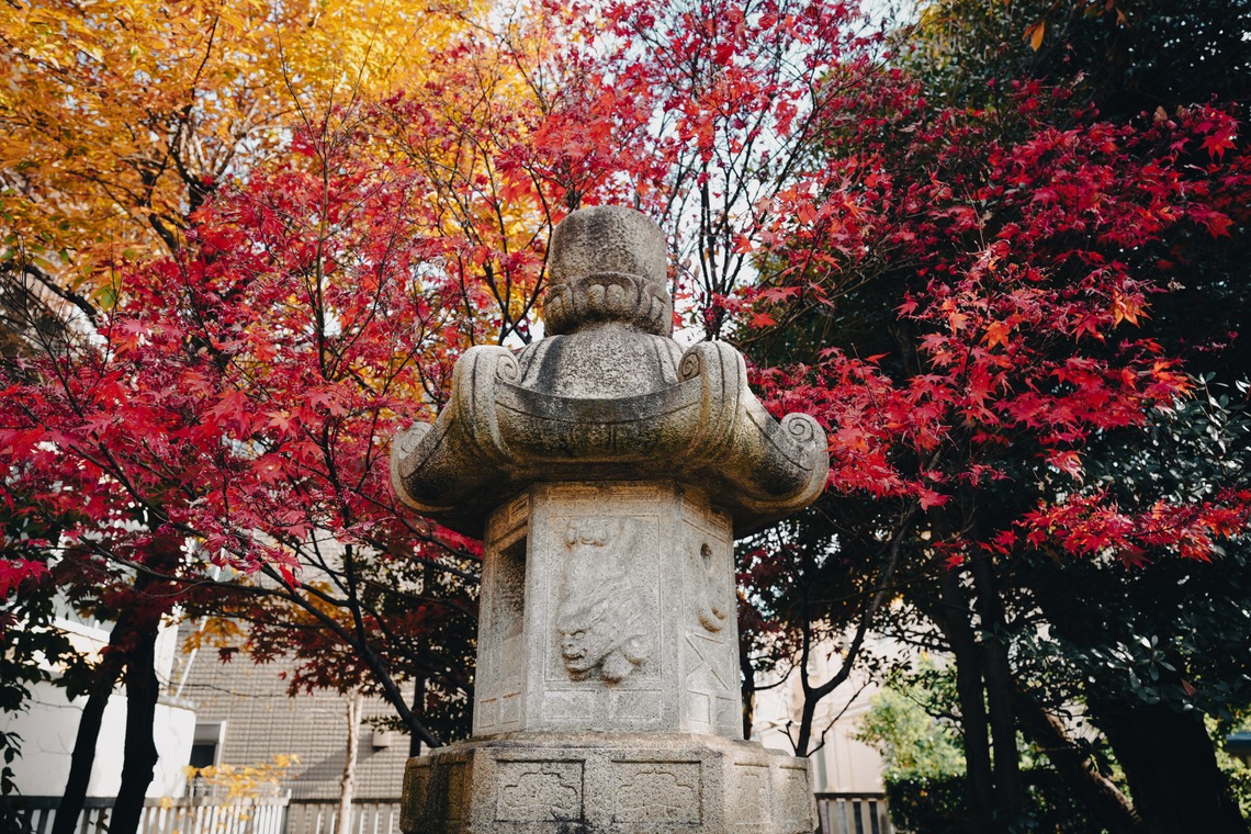 photographerTAKASUが撮影した「風景写真や動物写真」の写真