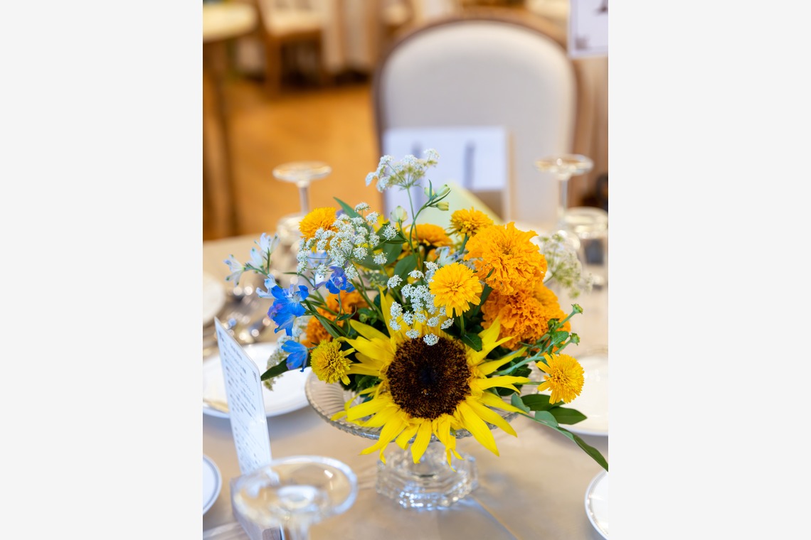 杉安写真事務所