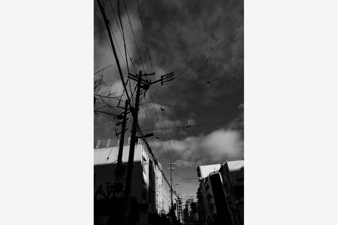 Green Backasが撮影した写真のアルバム「MATT」