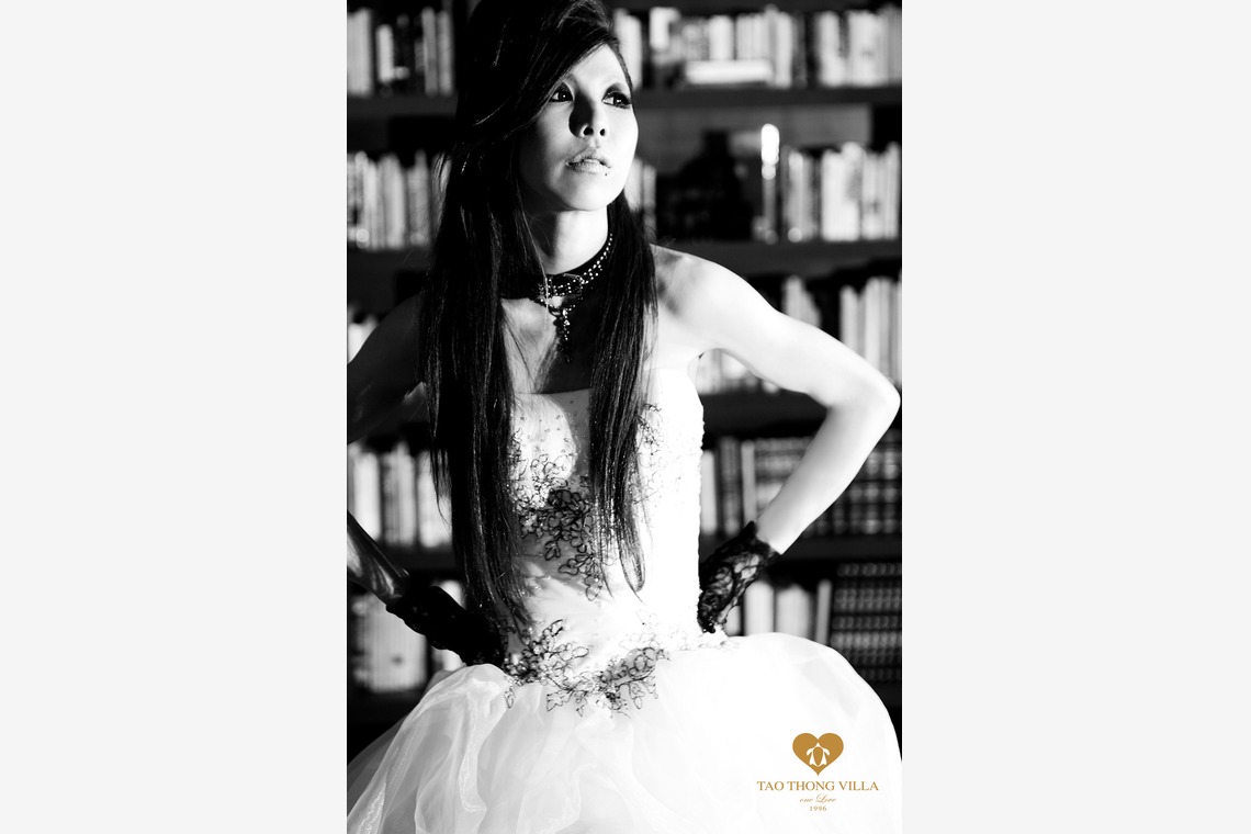 タオトンヴィラ (taothong villa)が撮影した「大阪・岐阜・姫路」の写真