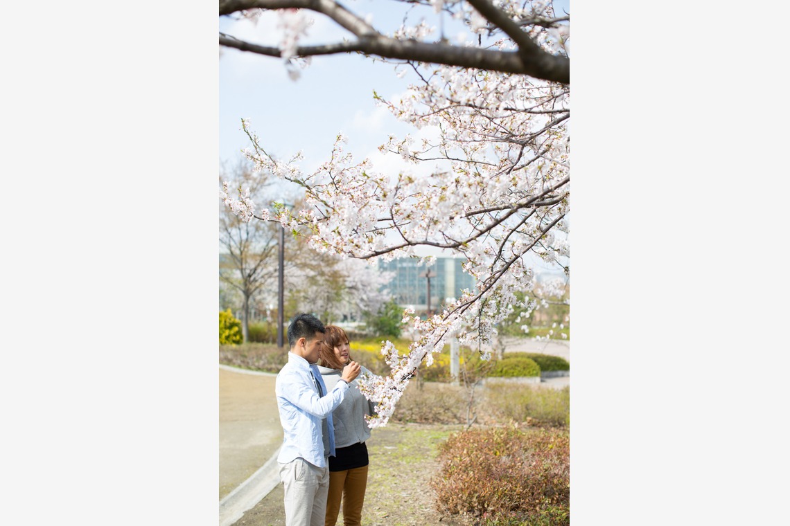 studio HATOYAが撮影した「エンゲージメントフォト」の写真