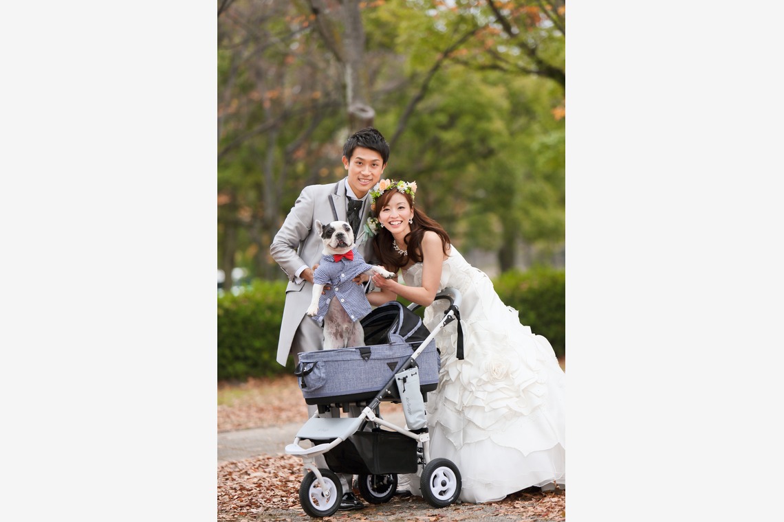 KIKIウェディングが撮影した写真のアルバム「紅葉の広島城と公園」