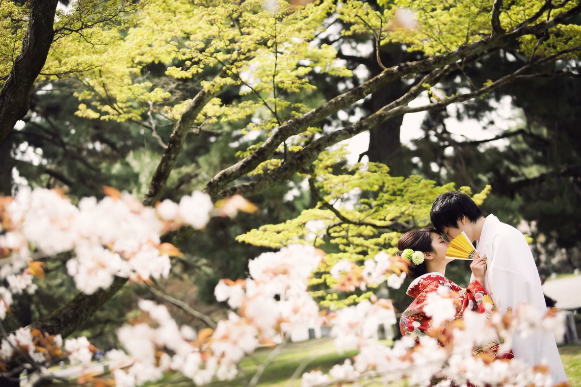 elle pupaが撮影した「京都（自然）」の写真