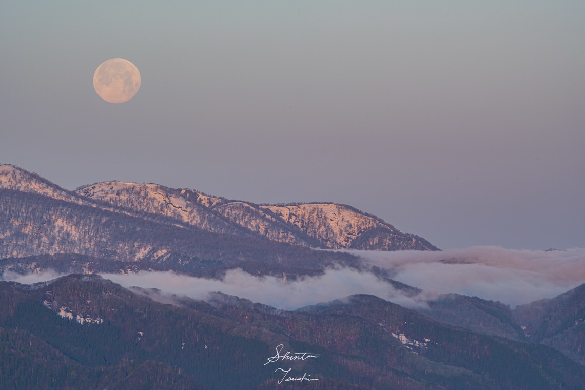 Shintaro Tsushimaが撮影した写真のアルバム「風景」