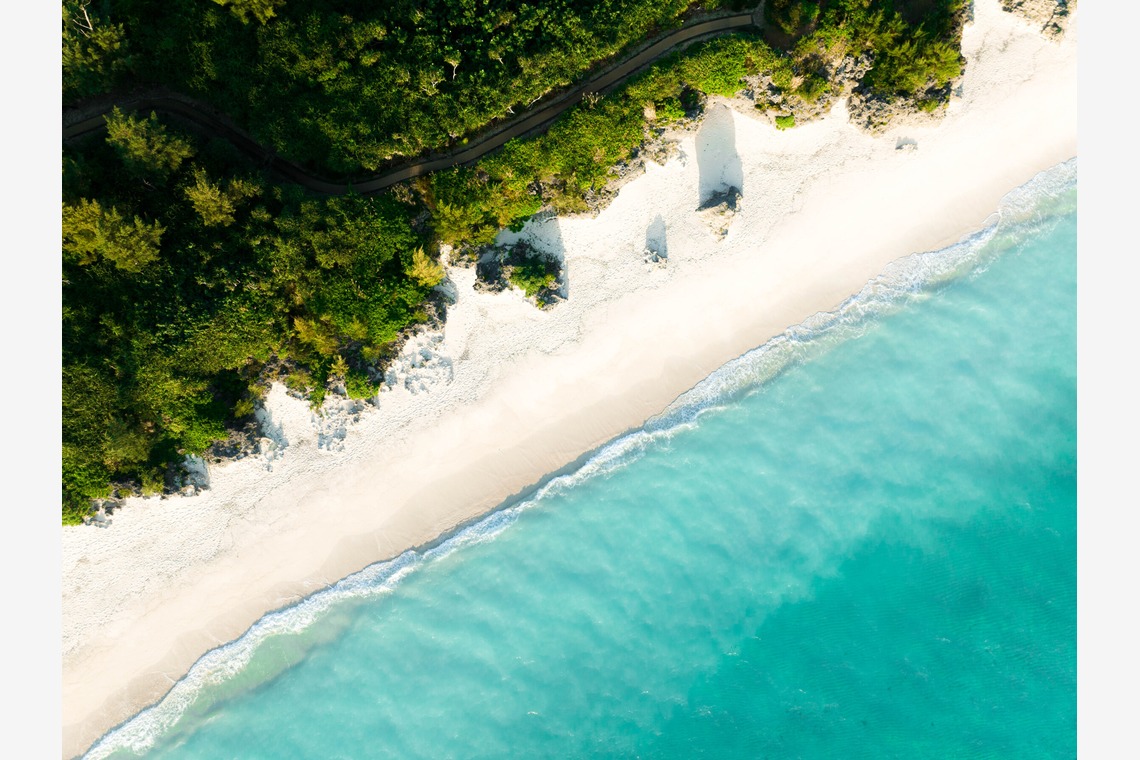 warren nathanが撮影した「art」の写真