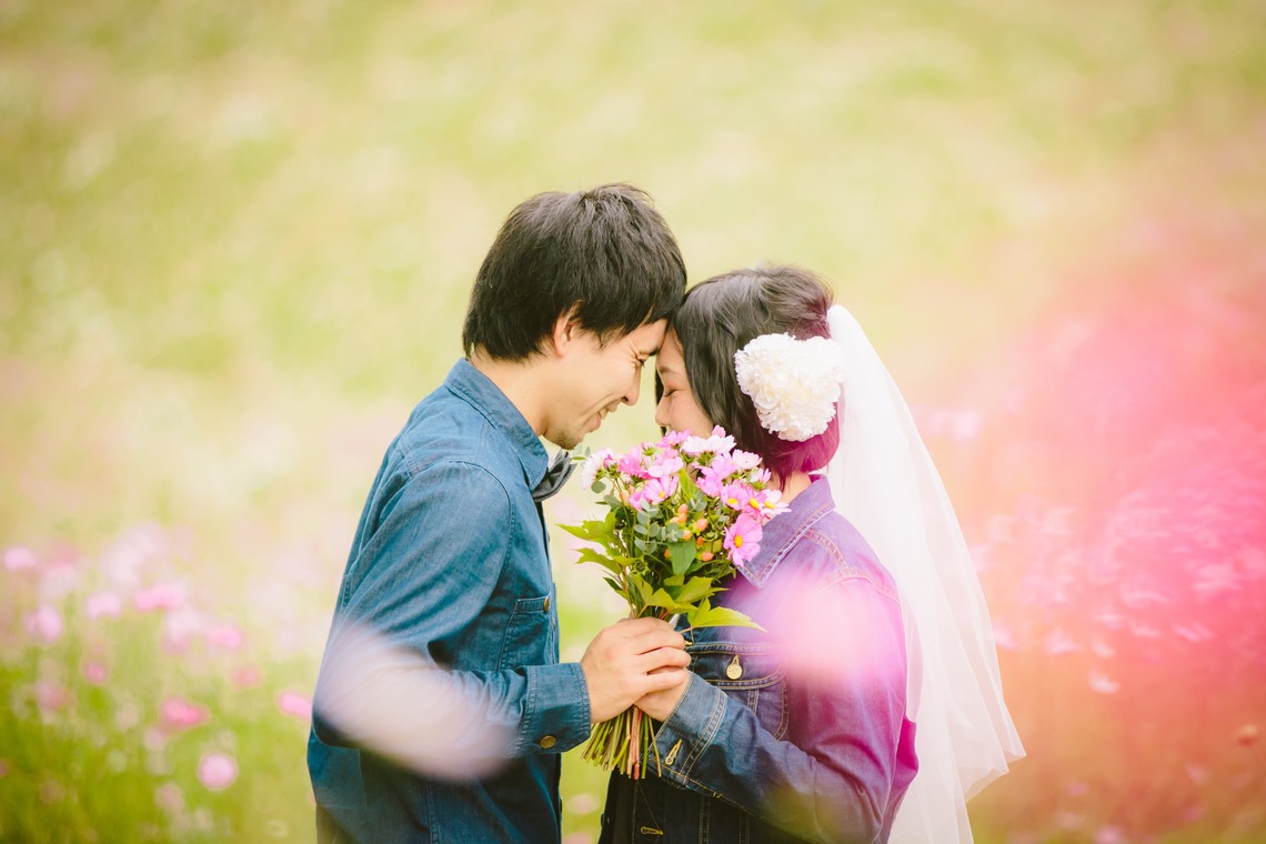 Photo of cosmos taken by KISA photography