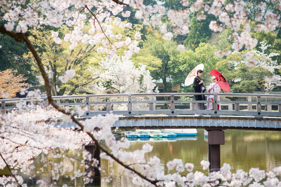 studio zeroが撮影した「奈良」の写真