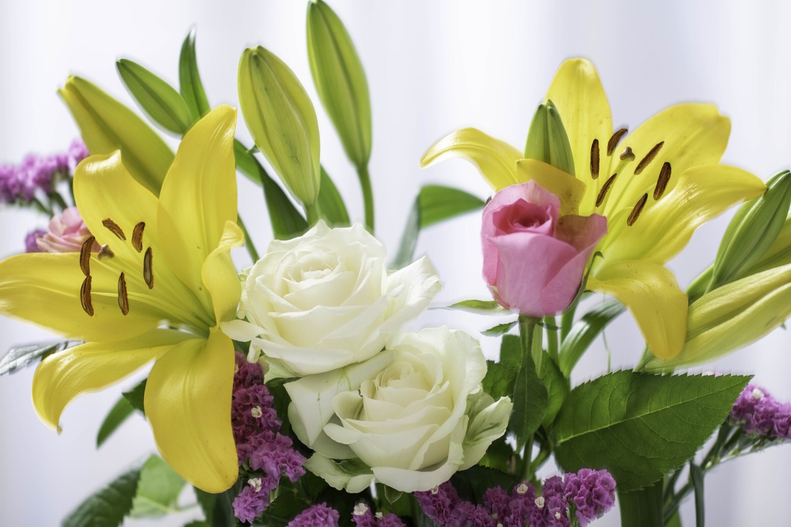 ミヤタカズコが撮影した写真のアルバム「花のある生活」