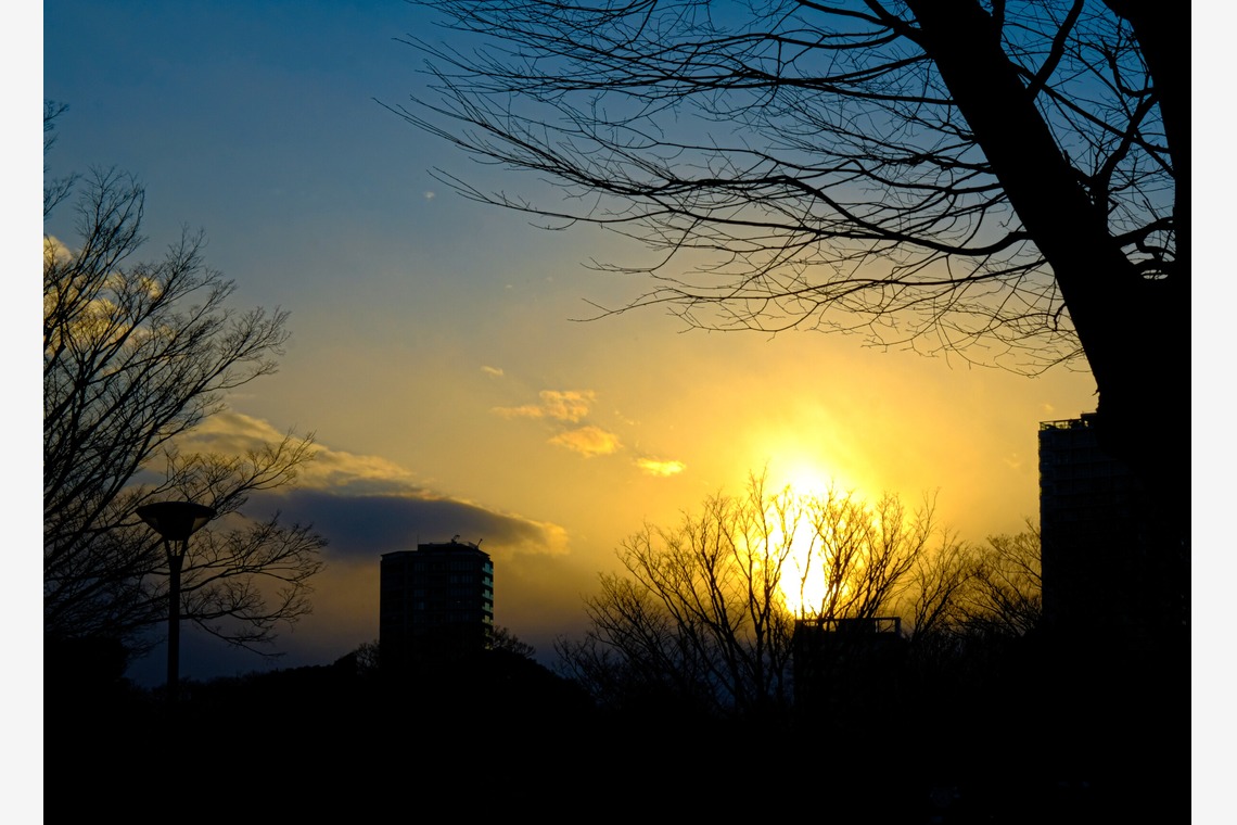 KotobukiPhotosが撮影した写真のアルバム「ストリートスナップ」