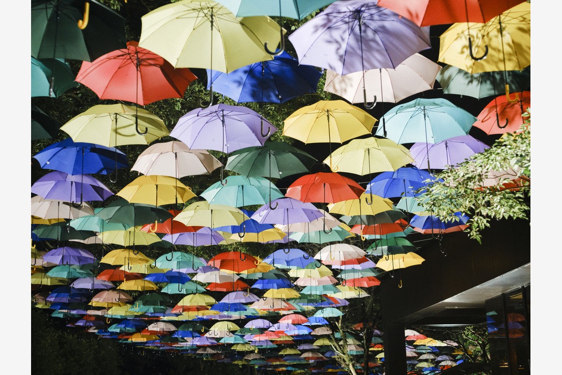 ワイヤリングが撮影した「ビジネス」の写真